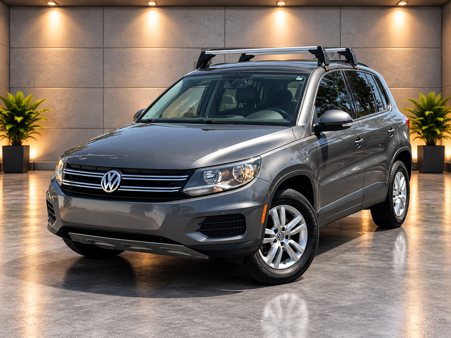2014 Volkswagen Tiguan